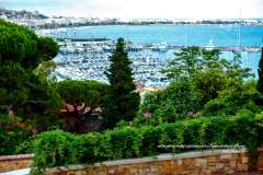 Le port de Cannes