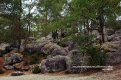 Sentier entre les roches