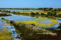 Beaute-de-la-nature