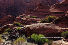 Décor austère et délicat