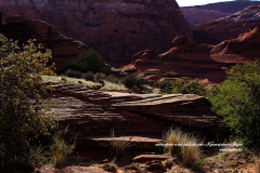 Expérience cinématographique