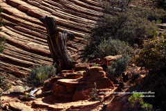 Variations de lumière