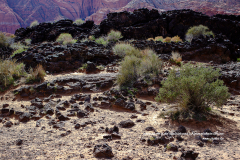 Vivre entre le lava et les dunes