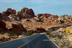 Entrée carrossable dans le parc