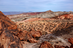 Nuances flamboyantes