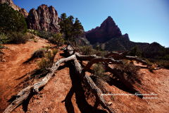 Décor sculpté par la lumière