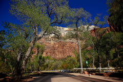 Falaise de grès rouge